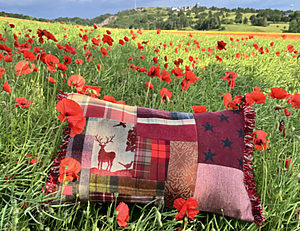 Cuillin Cushion in Poppy Field Velvet Cushions