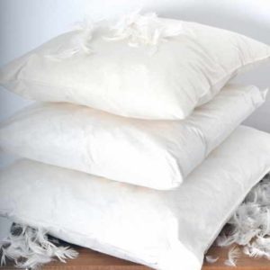 Feather Cushion Filler